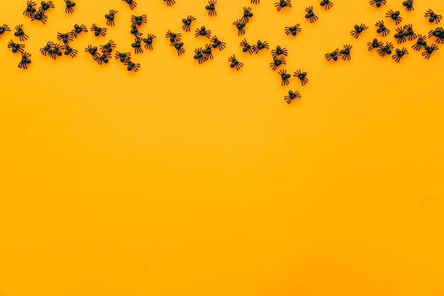 Fondo de halloween con insectos y espacio