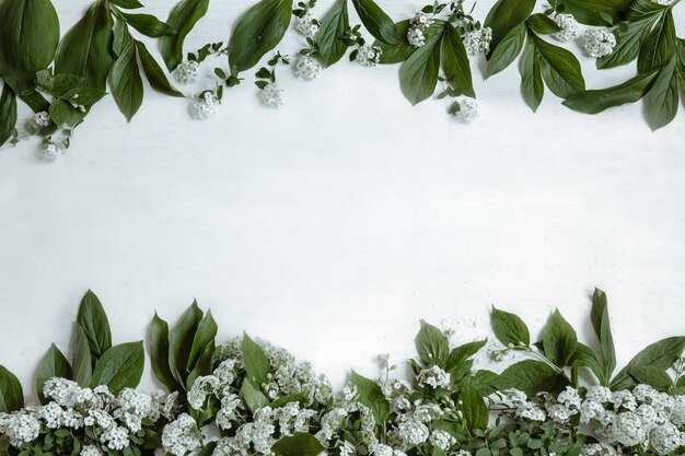 Fondo con hojas naturales y ramas de flores aisladas