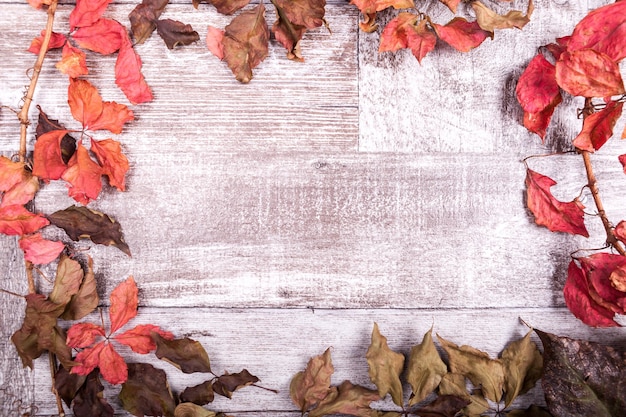 Fondo de hojas de otoño con espacio de copia disponible. hojas de color rojo sobre fondo blanco de madera