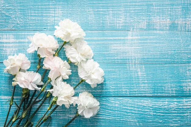 Fondo de madera azul con flores blancas endecha plana