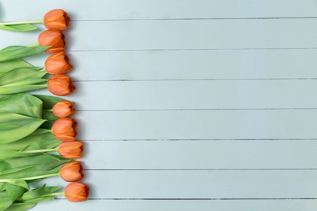 Foto gratuita fondo de madera blanco con tulipanes naranjas