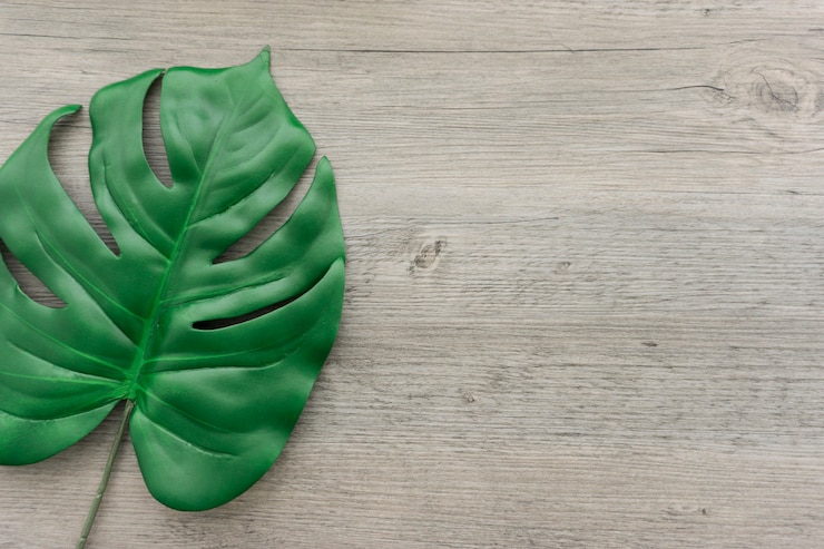 Foto gratuito fondo de madera con una gran hoja verde