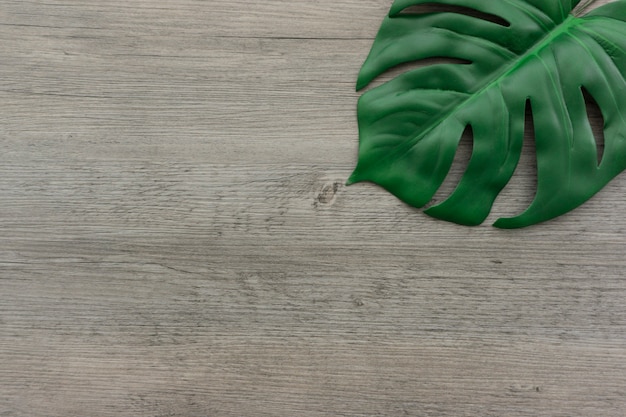 Fondo de madera con hoja verde decorativa