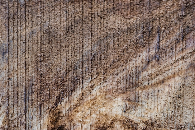 Fondo de madera con textura