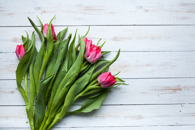 Fondo las madres primavera flores blancas