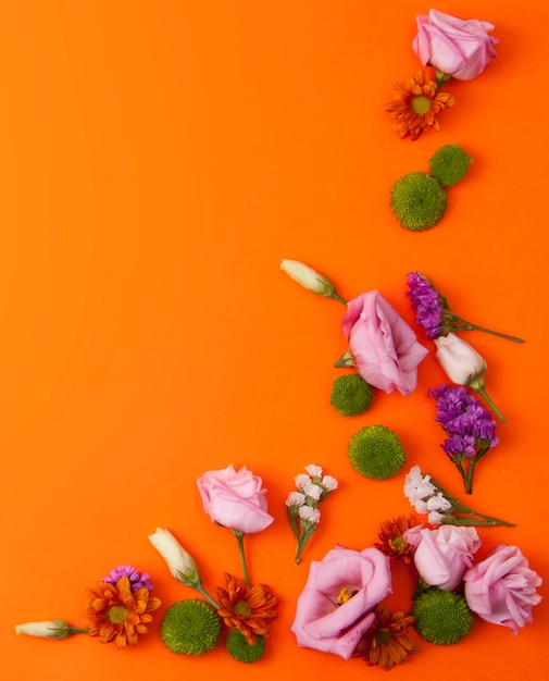 Fondo naranja con hermosas flores