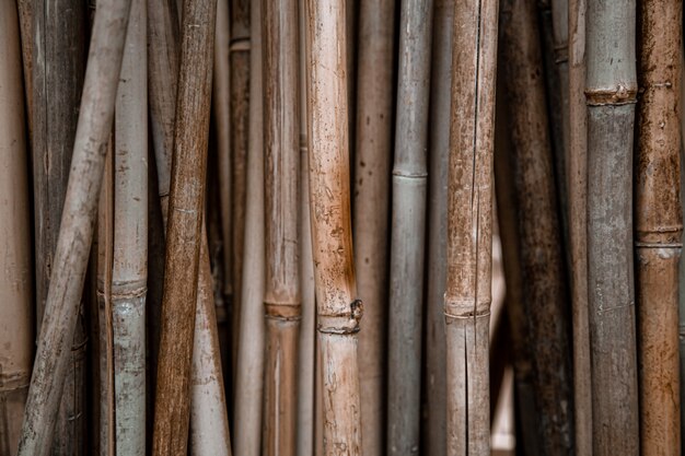 Fondo natural con muchos palos de bambú.
