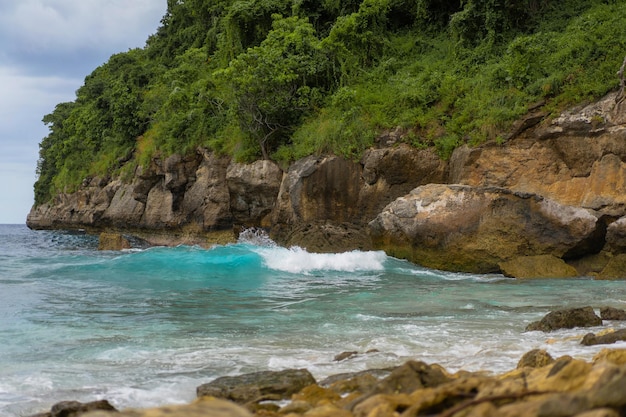 Fondo natural tropical. Océano y rocas con plantas, hermoso fondo de la costa tropical.