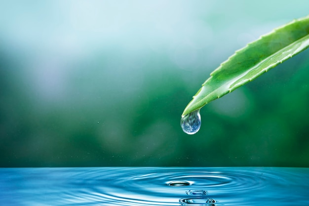 Fondo de naturaleza de gota de agua del ecosistema para la campaña del día de la tierra