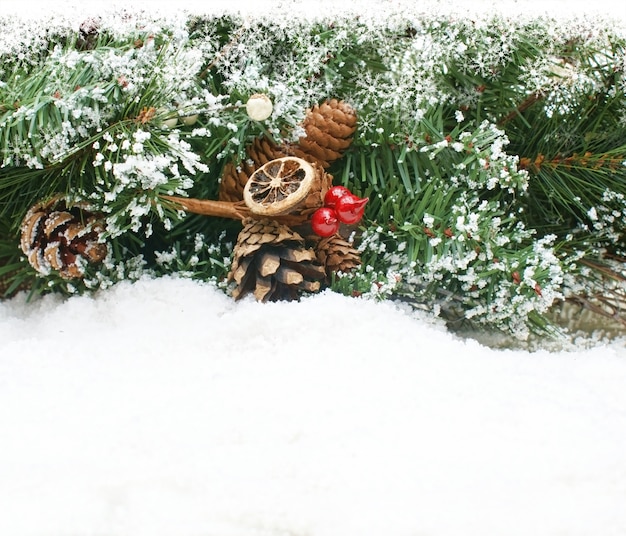 Fondo de navidad con ramas de árboles enclavados en la nieve