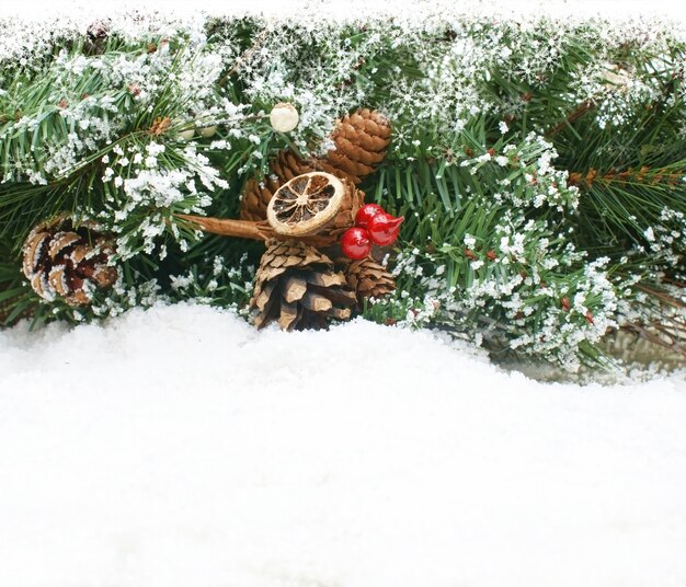 Fondo de navidad con ramas de árboles enclavados en la nieve