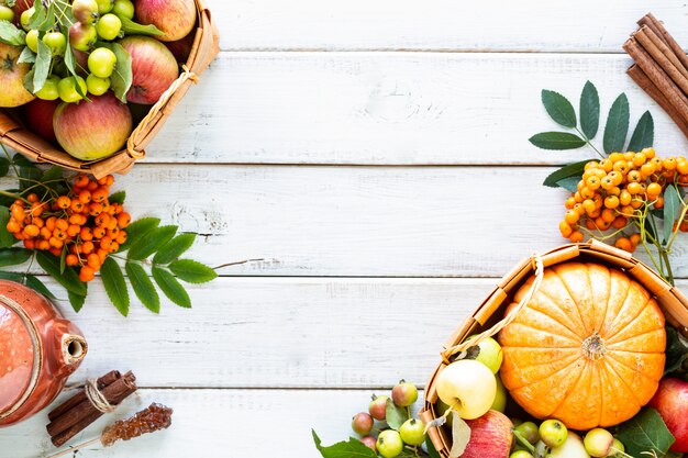 Fondo de otoño. Manzanas, calabaza, manzanas del paraíso, serbal sobre madera blanca.