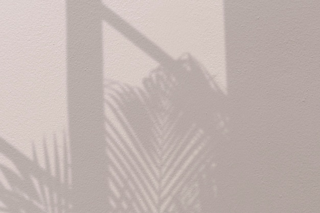 Fondo con palmera y sombra de ventana