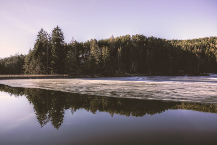 Foto gratuito fondo de pantalla de árboles verdes cerca del río