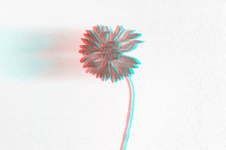 Foto gratuito fondo de pantalla de flores anaglifo 3d