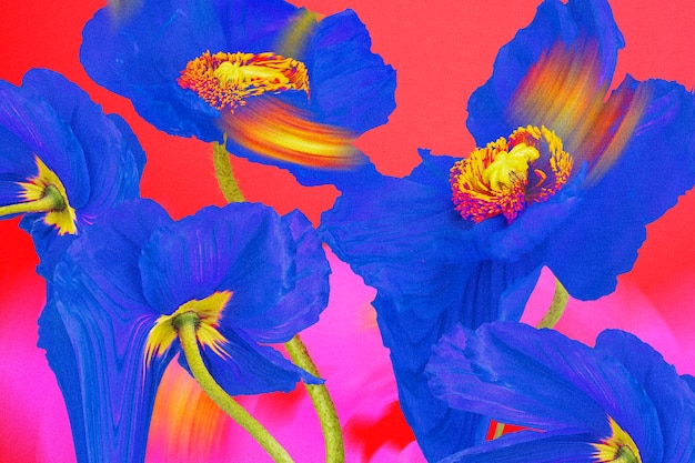 Fondo de pantalla de flores de colores, diseño estético trippy