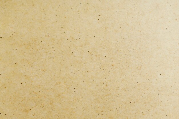 Fondo de papel con textura de morera beige