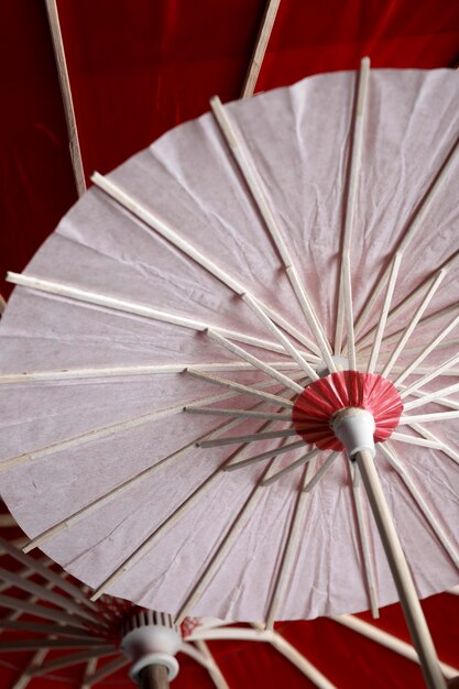 Fondo de paraguas japonés wagasa