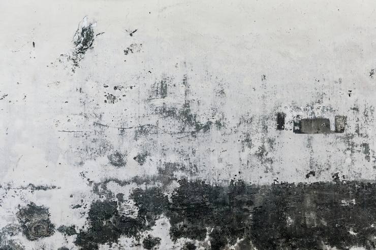 Foto gratuito fondo de pared desgastada