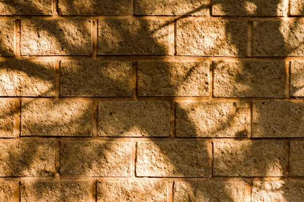 Fondo de pared de ladrillo y sombras de árboles