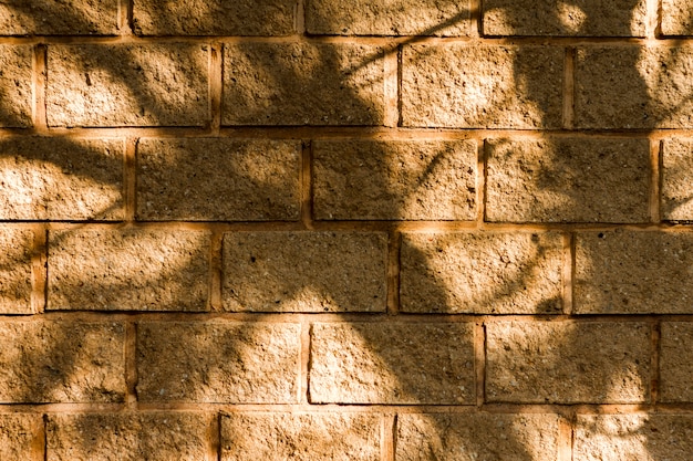 Fondo de pared de ladrillo y sombras de árboles