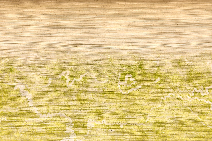Foto gratuito fondo de pared de madera abstracto