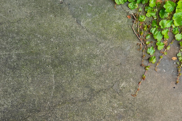 Fondo de pared de piedra envejecida