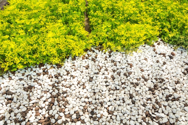 Fondo de piedra blanco (textura)