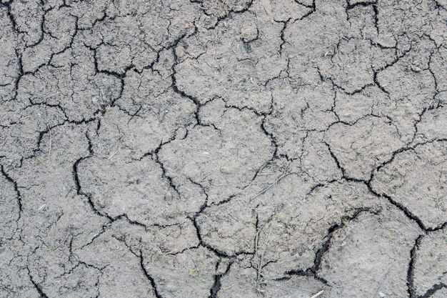 Fondo de piedra gris agrietada