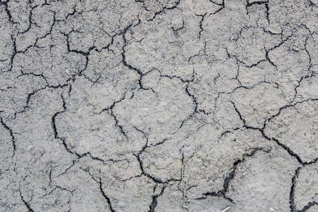 Fondo de piedra gris agrietada