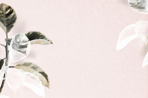 Fondo de planta de caucho indio rosa