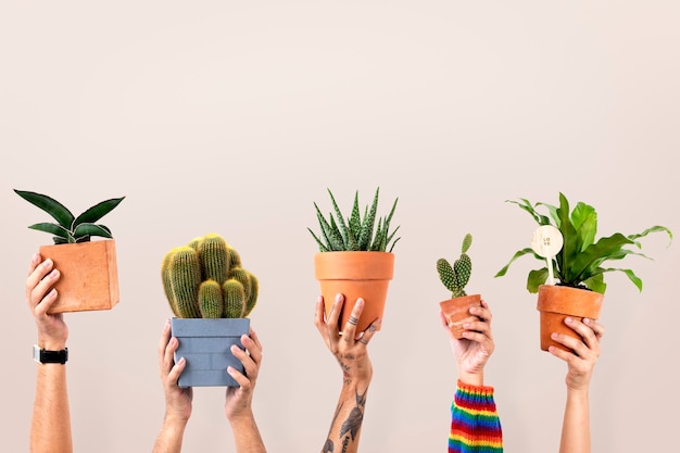 Foto gratuita fondo de plantas de interior para amantes de las plantas.