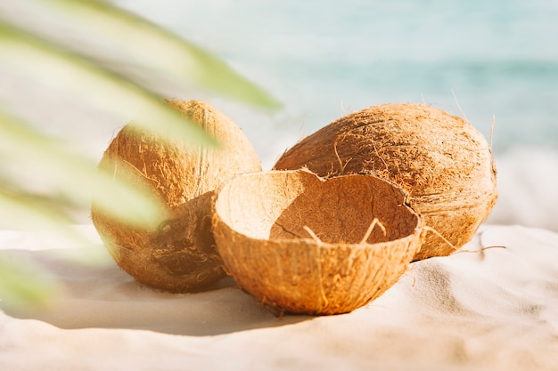 Fondo de playa con cocos y hoja de palmera