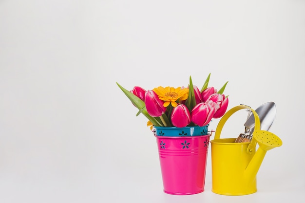 Fondo de primavera con flores y regadera