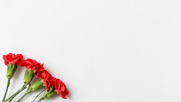 Foto gratuita fondo de primavera con rosas