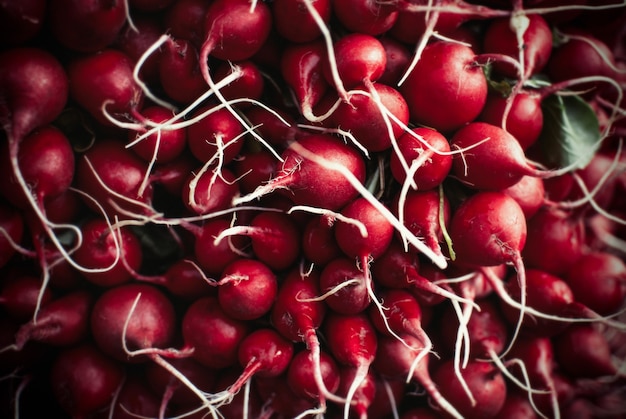 Fondo de rábanos rojos maduros con raíces blancas