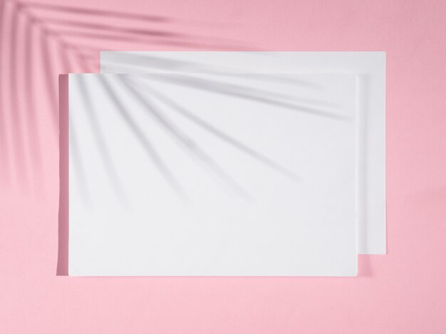 Fondo rosa con mantas blancas y una sombra de ficus