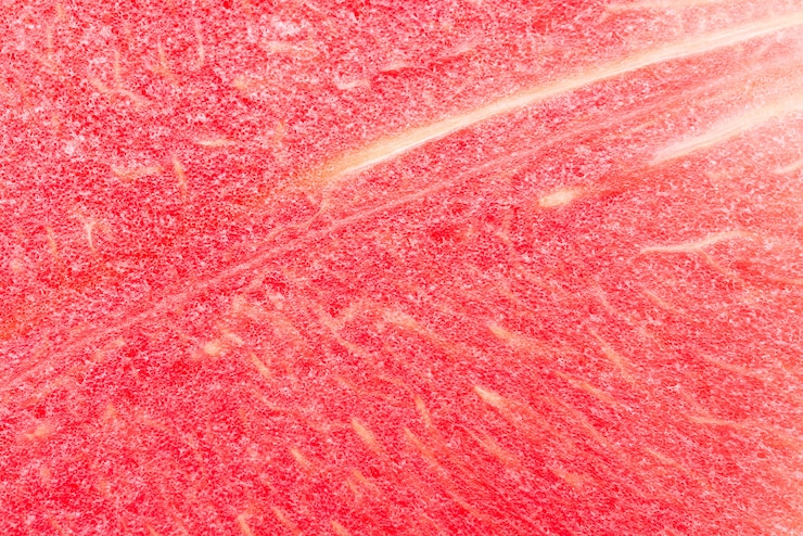 Foto gratuito el fondo de la sandía en primer plano