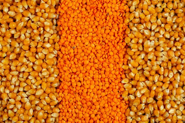 Fondo de semillas de maíz y lentejas rojas vista superior