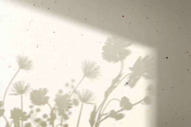 Fondo con sombra de campo de flores durante la hora dorada