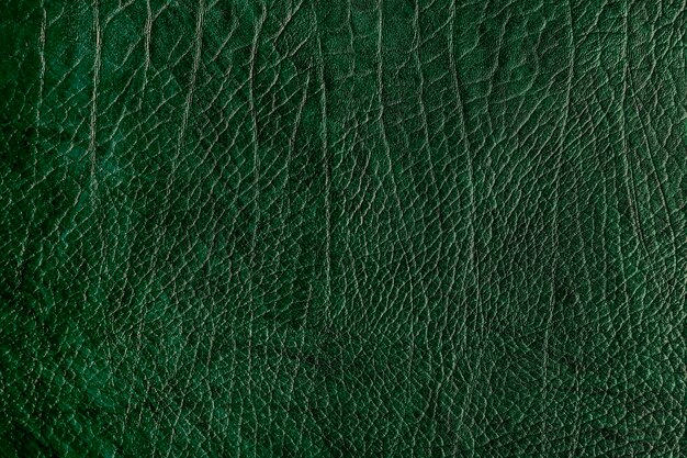 Fondo de textura de cuero arrugado verde