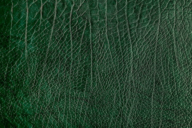 Fondo de textura de cuero arrugado verde