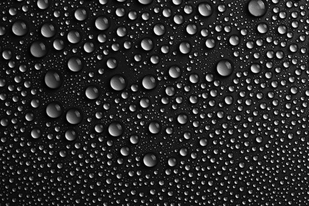 Fondo de textura de gotas de agua, diseño negro