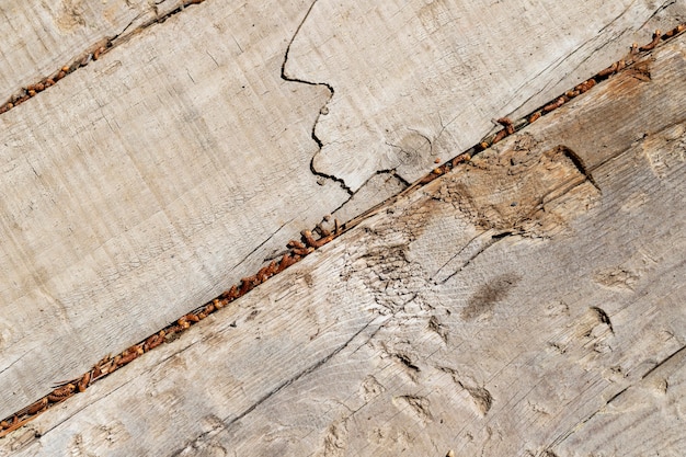 Fondo de textura de madera de cerca