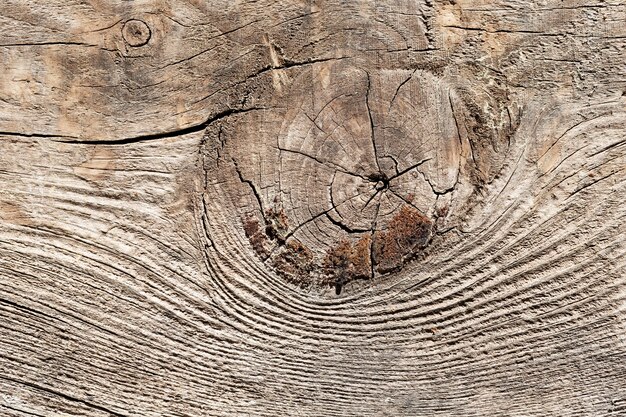 Fondo de textura de madera de cerca