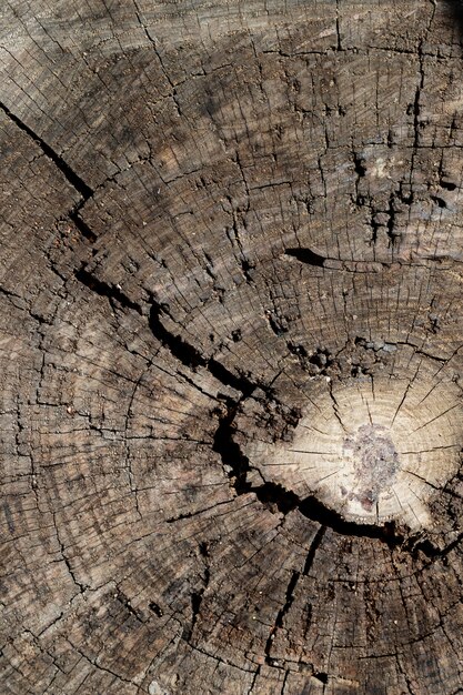 Fondo de textura de madera de cerca