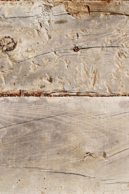 Foto gratuita fondo de textura de madera de cerca