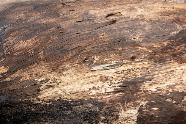 Fondo de textura de madera marrón grunge