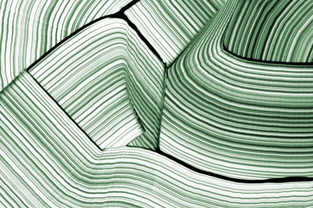 Fondo de textura ondulada de bricolaje en arte abstracto experimental verde