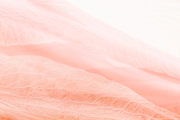 Fondo de textura de pétalo en rosa coral para banner de blog